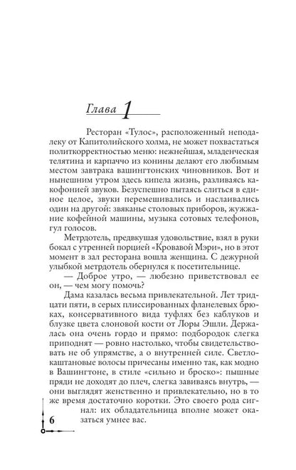 Точка обмана: роман