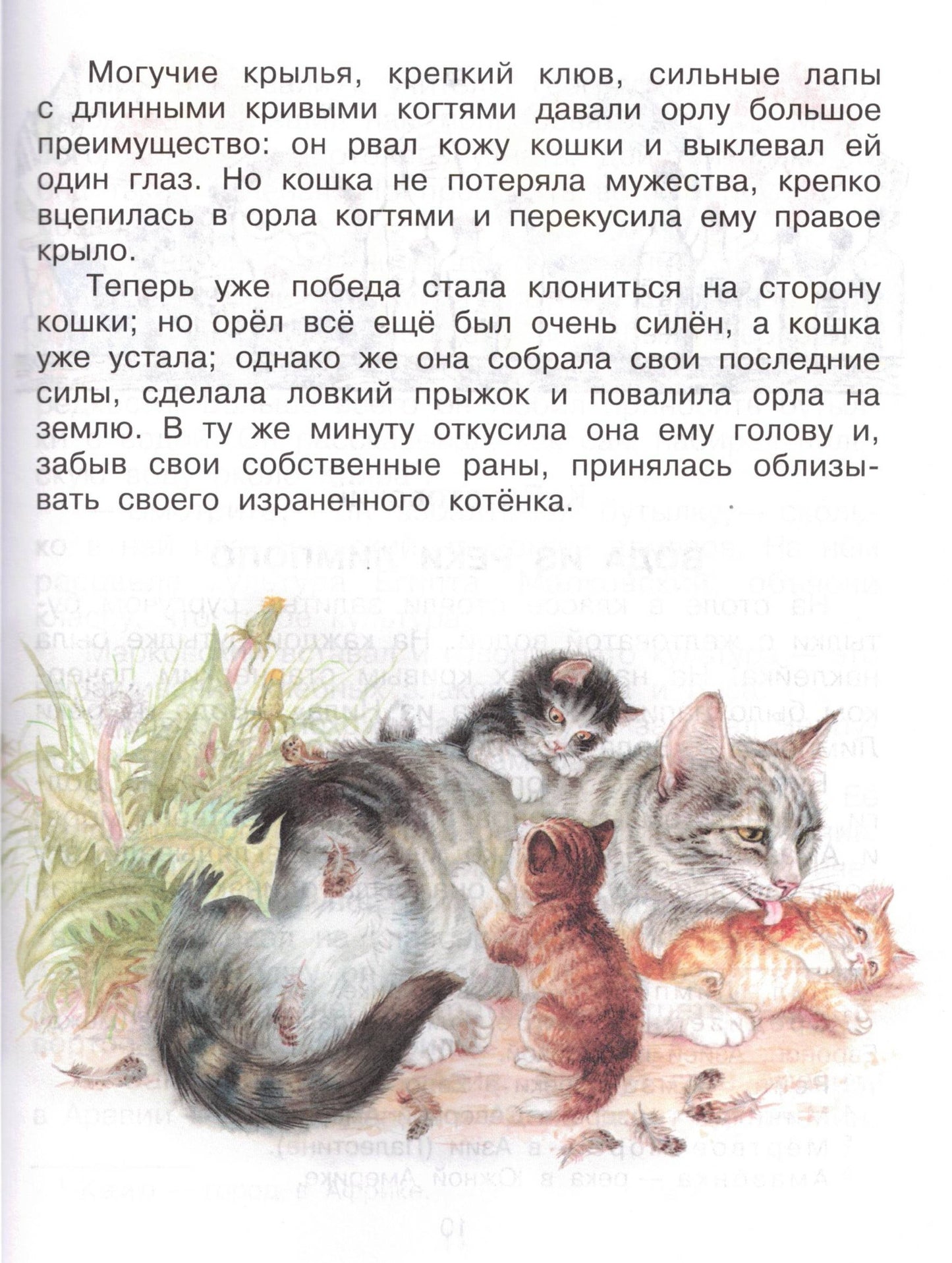 Родничок. Книга для внеклассного чтения 3 класс