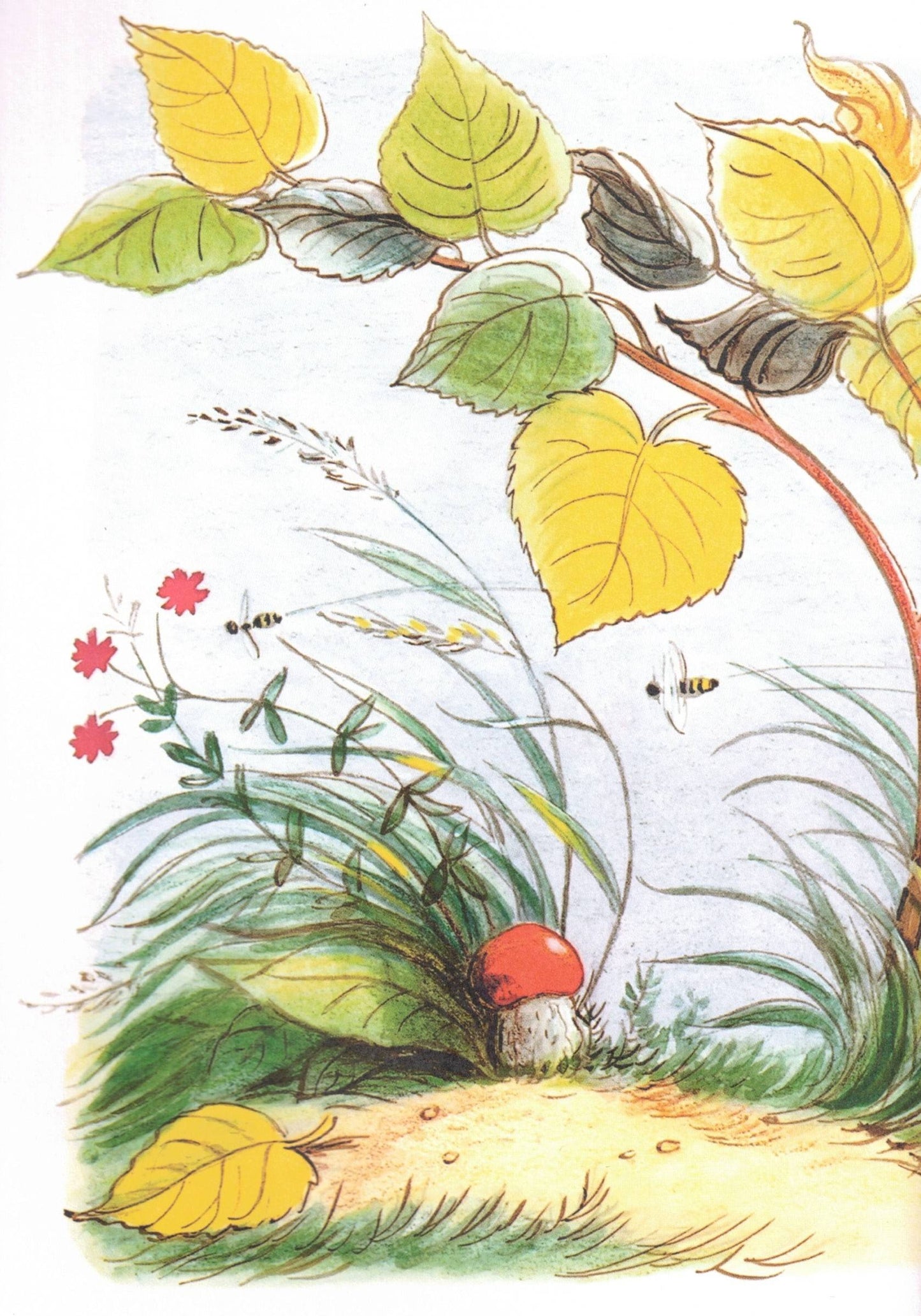 Сказки в картинках