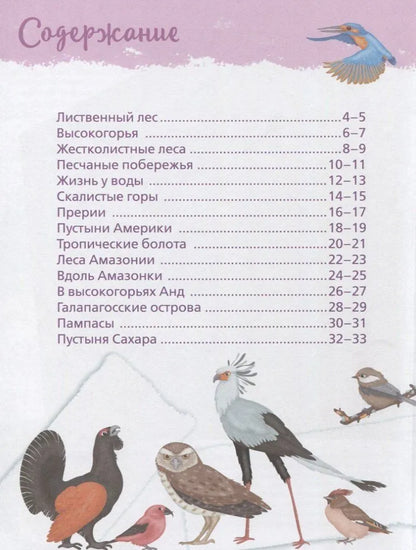 Animals