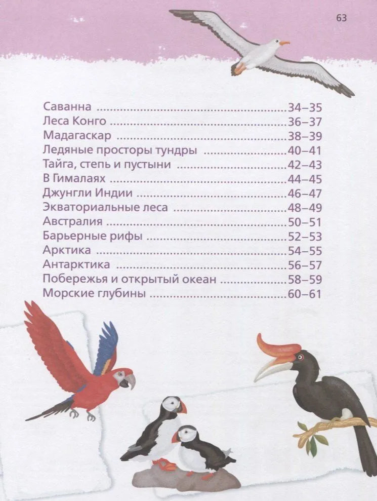 Animals
