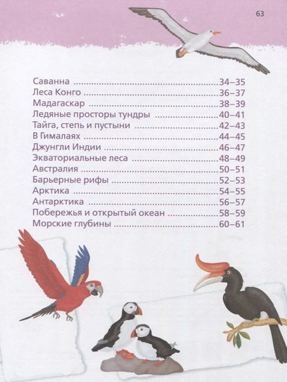 Animals