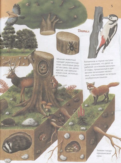 Animals