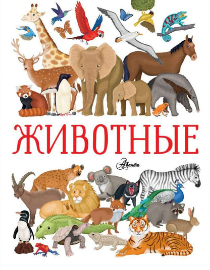 Animals