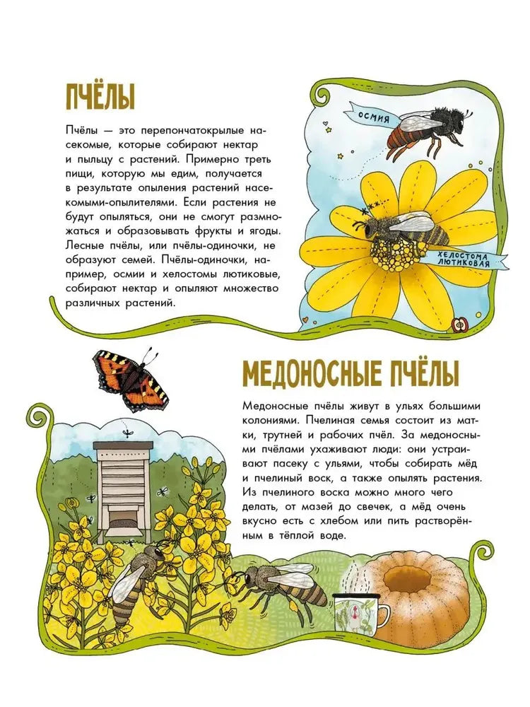 Насекомые