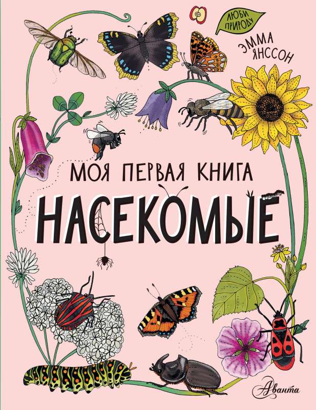 Insects