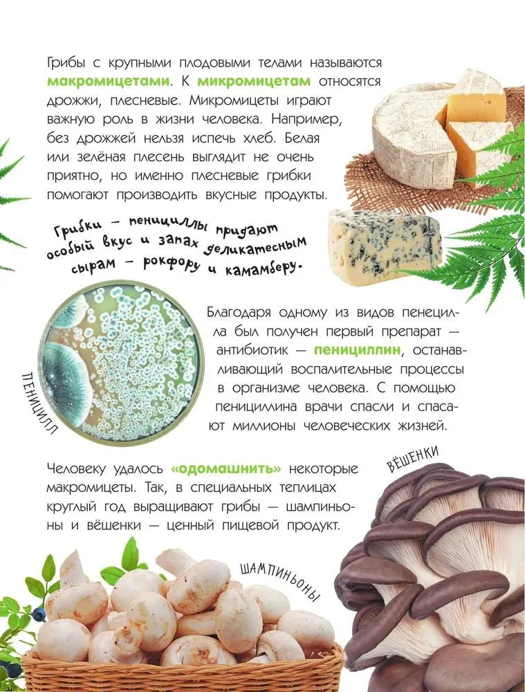 Mushrooms