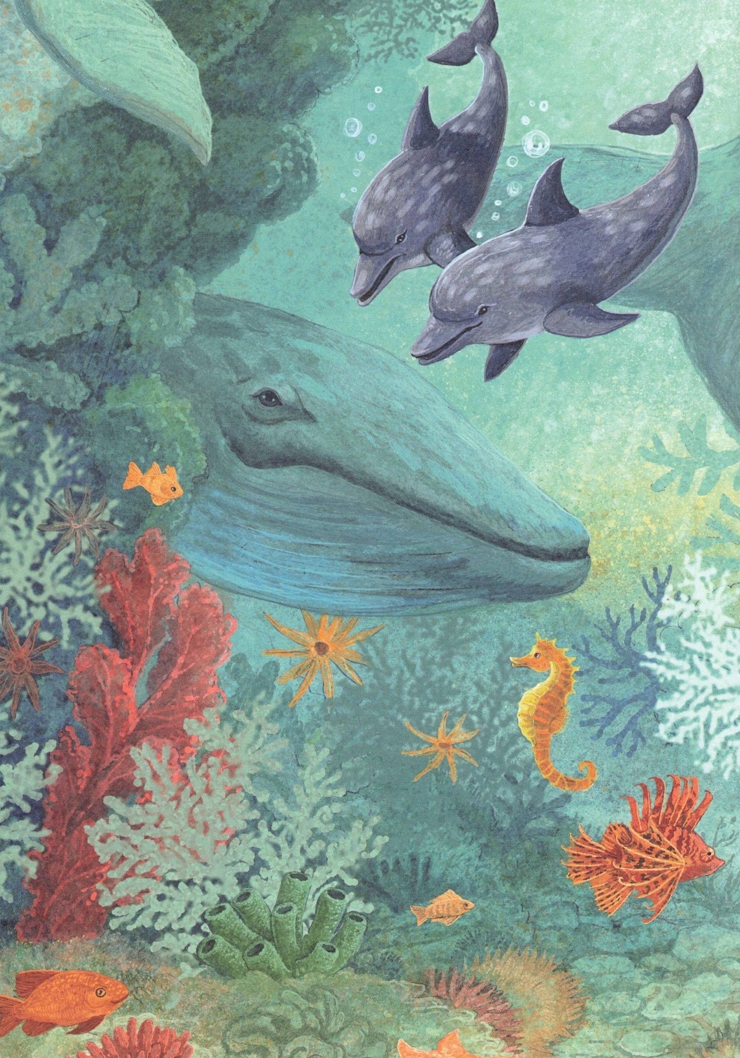 Sea Tales for the Inquisitive