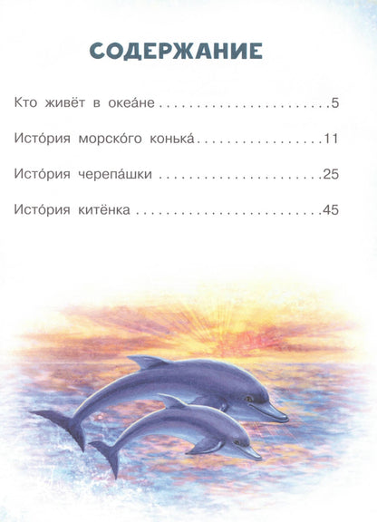 Sea Tales for the Inquisitive