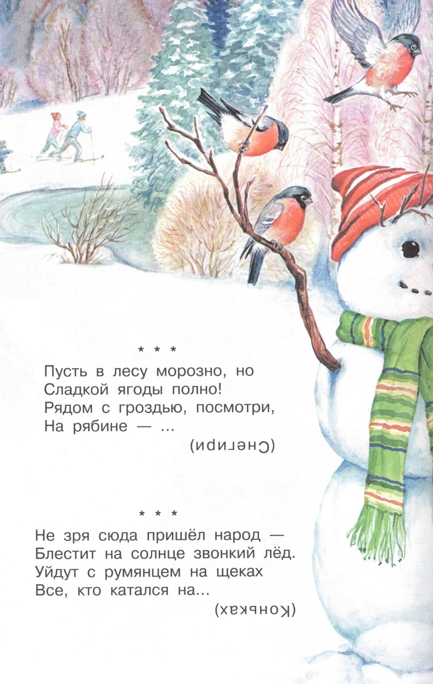 Загадки обо всём на свете