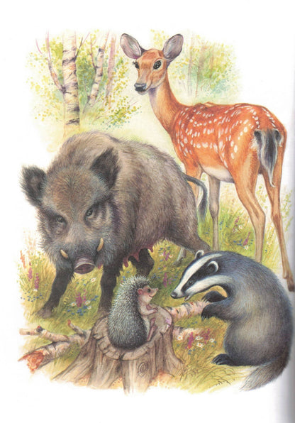 Сказки о зверятах