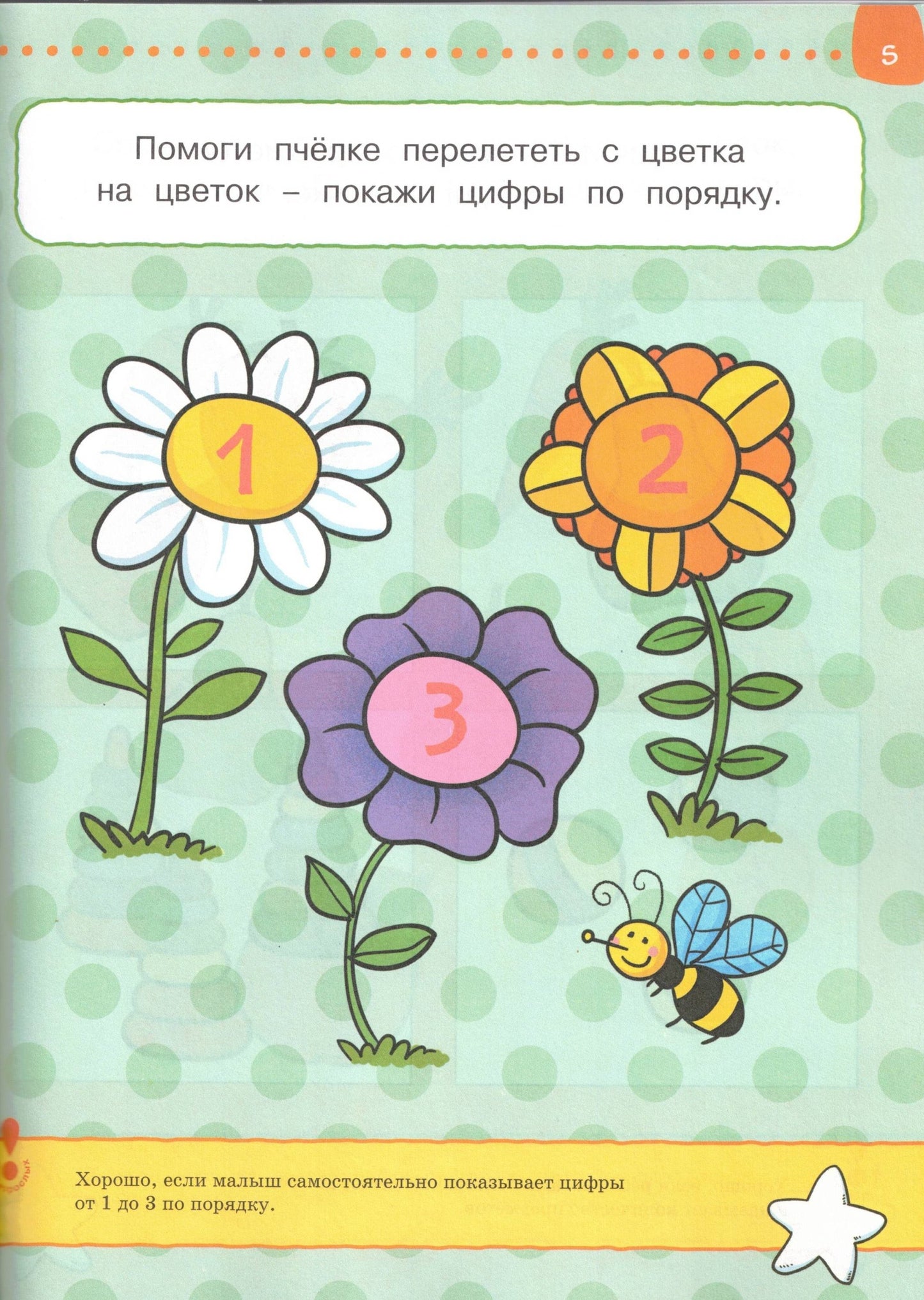 Что я знаю и умею. Тесты для детей 2 - 3 лет