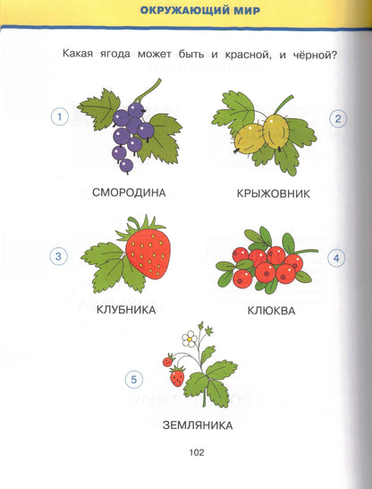 Новые тесты (5-6 лет)