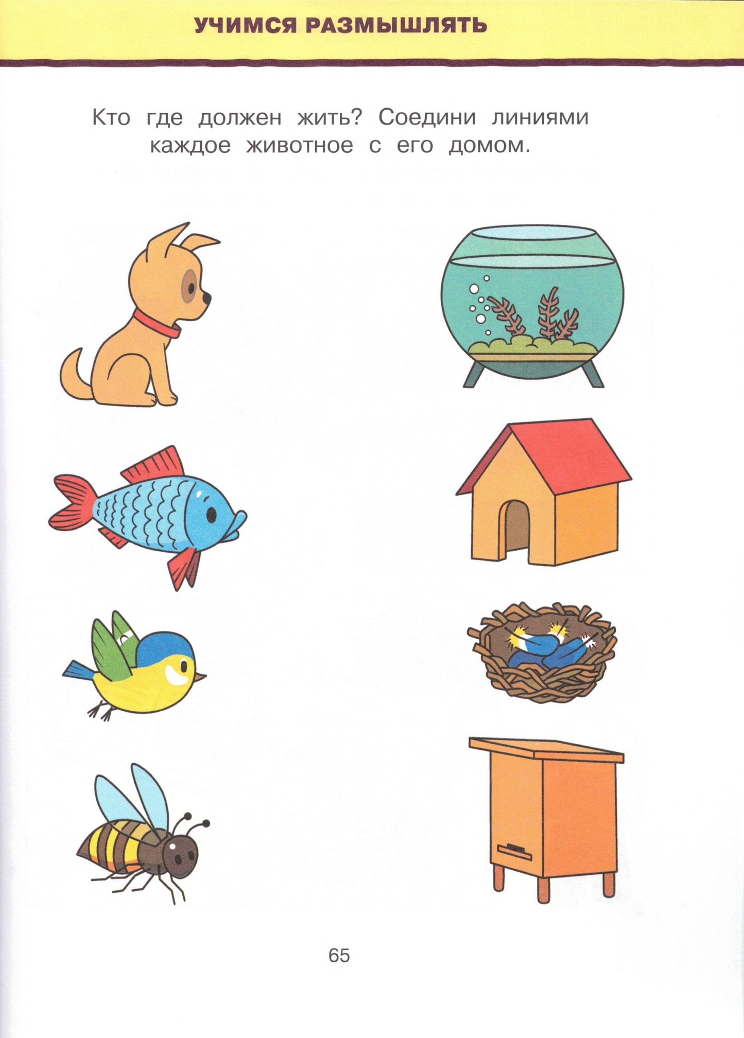 Обучающие тесты. Развиваем интеллект (3-4 года)