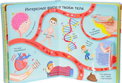 Волшебные окошки. Как всё устроено?