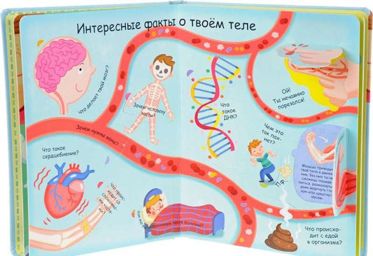 Волшебные окошки. Как всё устроено?