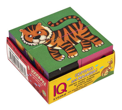 Smart cubes in a tray. 4 pieces. At the zoo.