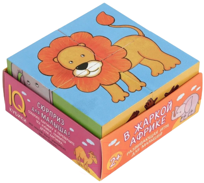 Умные кубики в поддончике. 4 штуки. В жаркой Африке