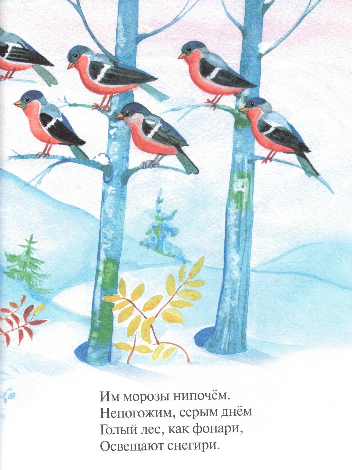 Сказки Почемучки