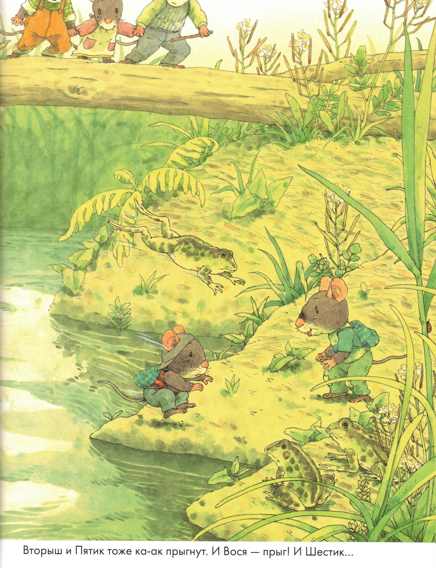 Ивамура Кадзуо 14 лесных мышей. Пикник