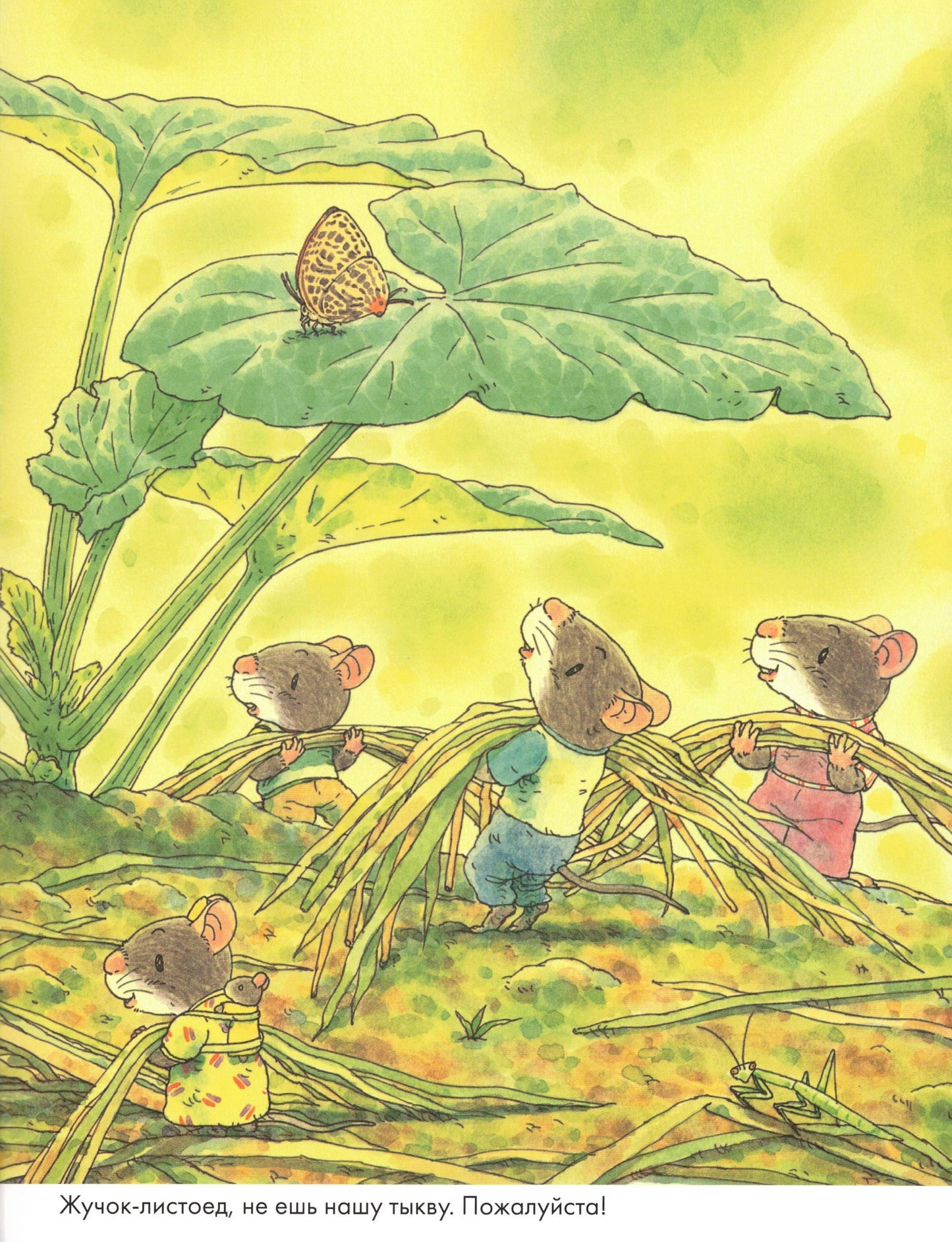 Ивамура Кадзуо 14 лесных мышей. Тыква