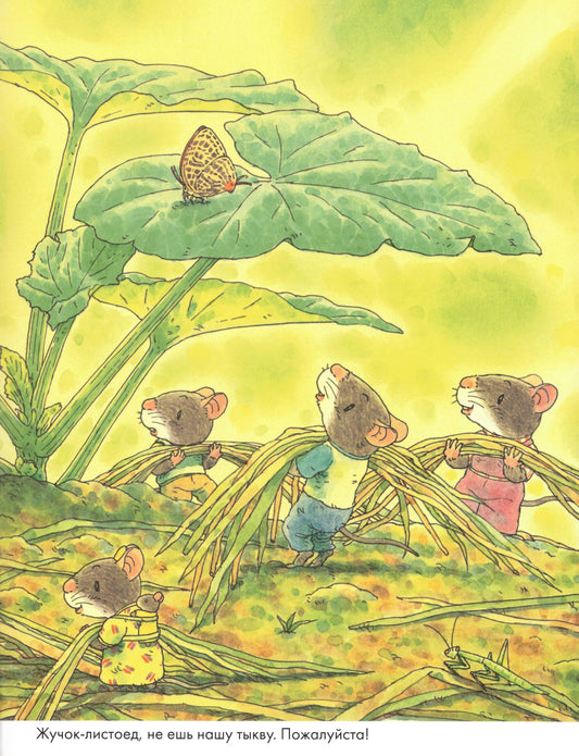 Ивамура Кадзуо 14 лесных мышей. Тыква