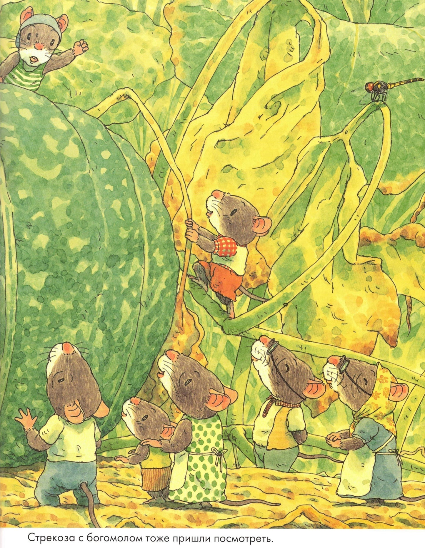 Ивамура Кадзуо 14 лесных мышей. Тыква