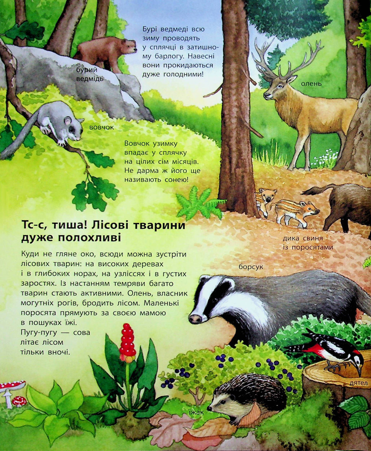 UKR - Моя перша мальована енциклопедія : Тварини