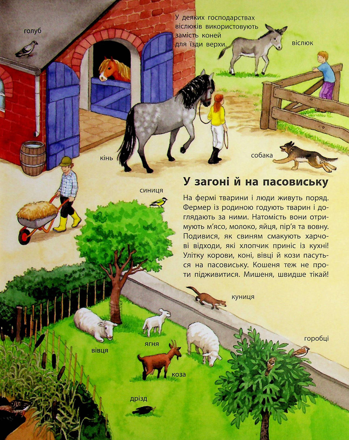 UKR - Моя перша мальована енциклопедія : Тварини