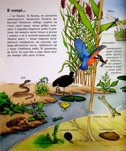 UKR - Моя перша мальована енциклопедія : Тварини