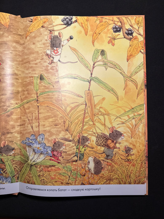14 Wood Mice Sweet Potato