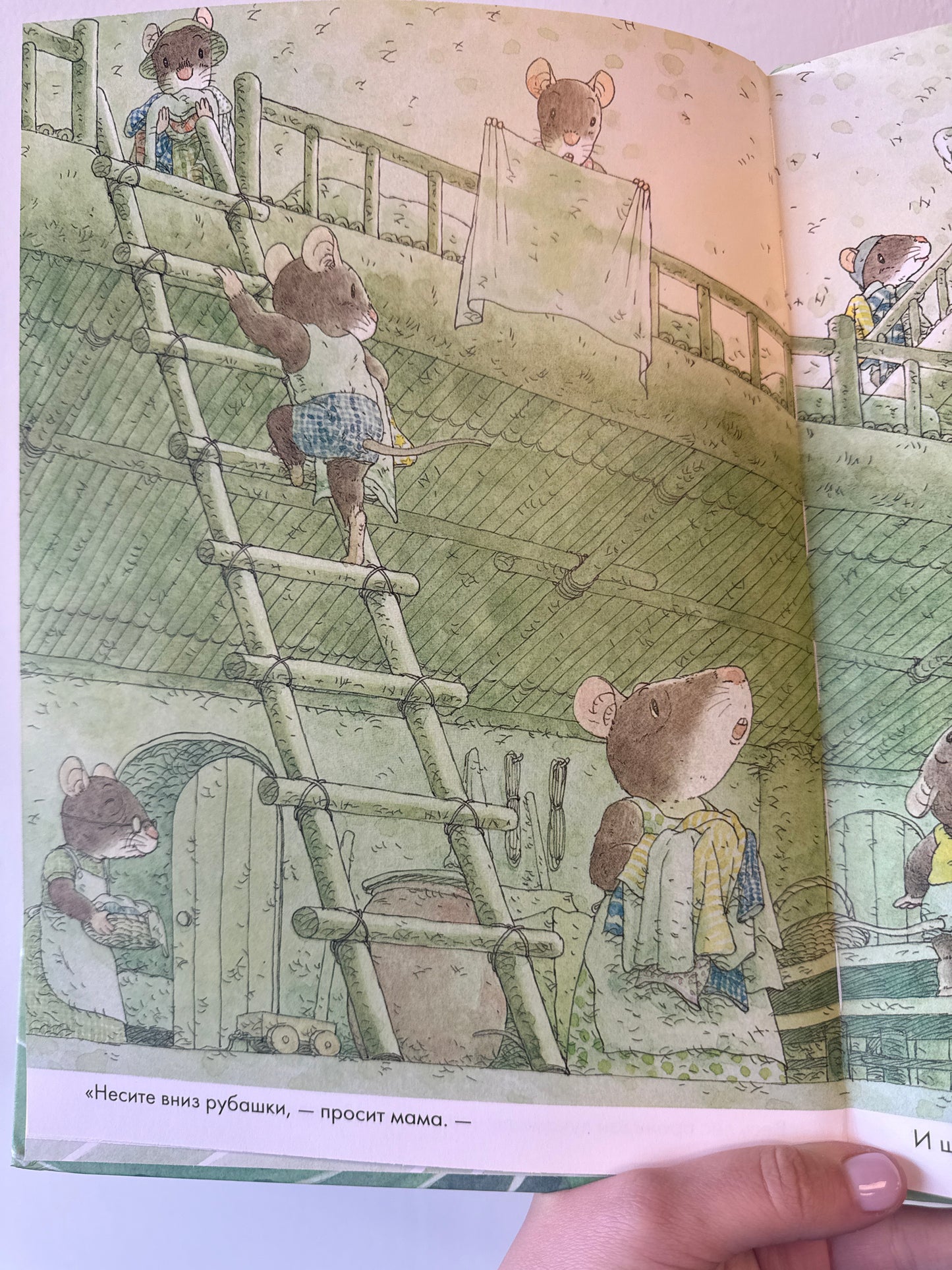 14 Wood Mice Laundry