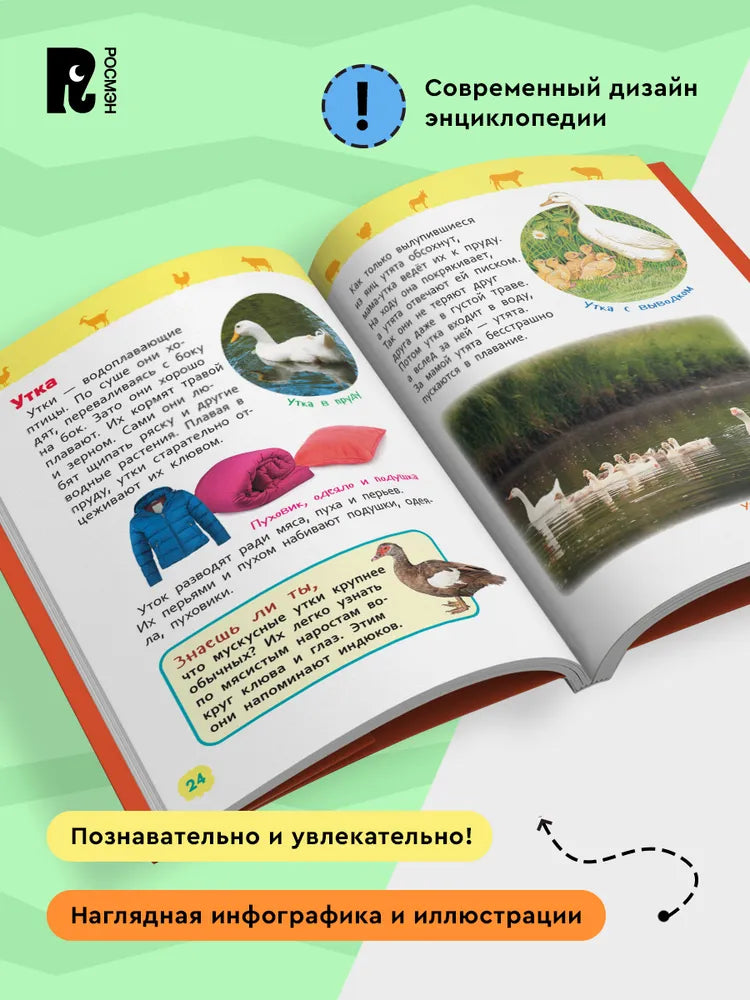 Домашние животные Энциклопедия