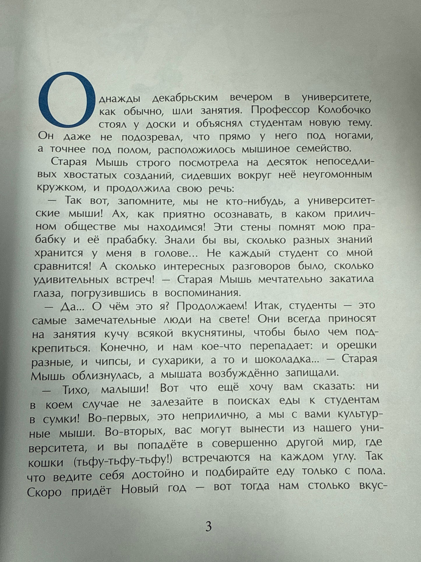 How a little mouse searched for the New Year