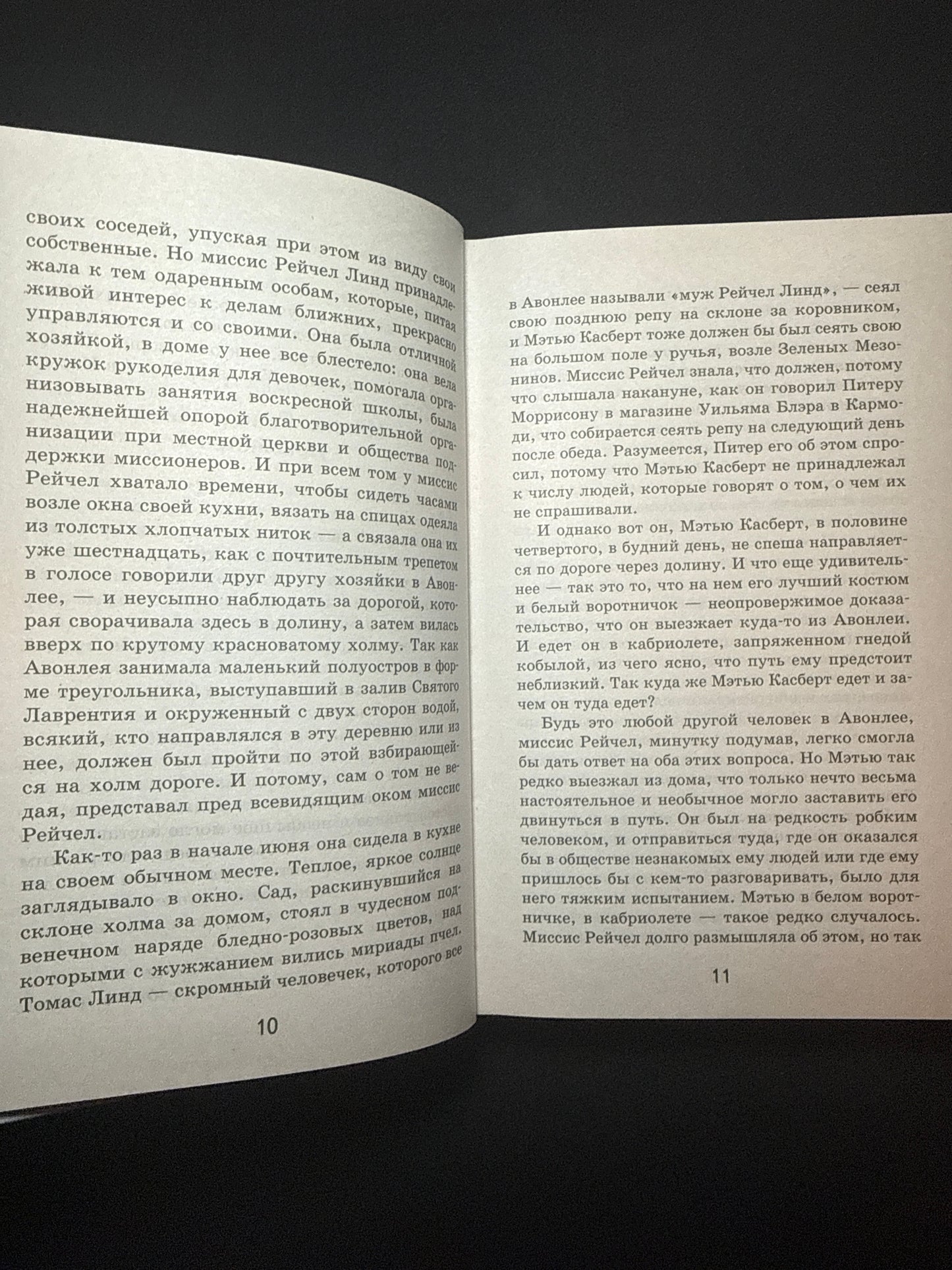 Аня из Зелёных Мезонинов