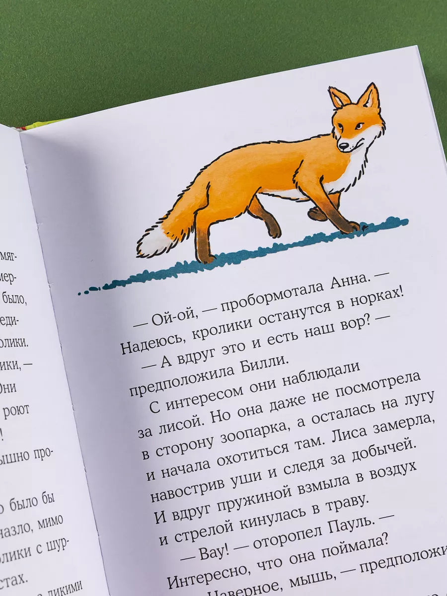 [Kids' Detectives, My Best Friend – Conny] The Missing Rabbit