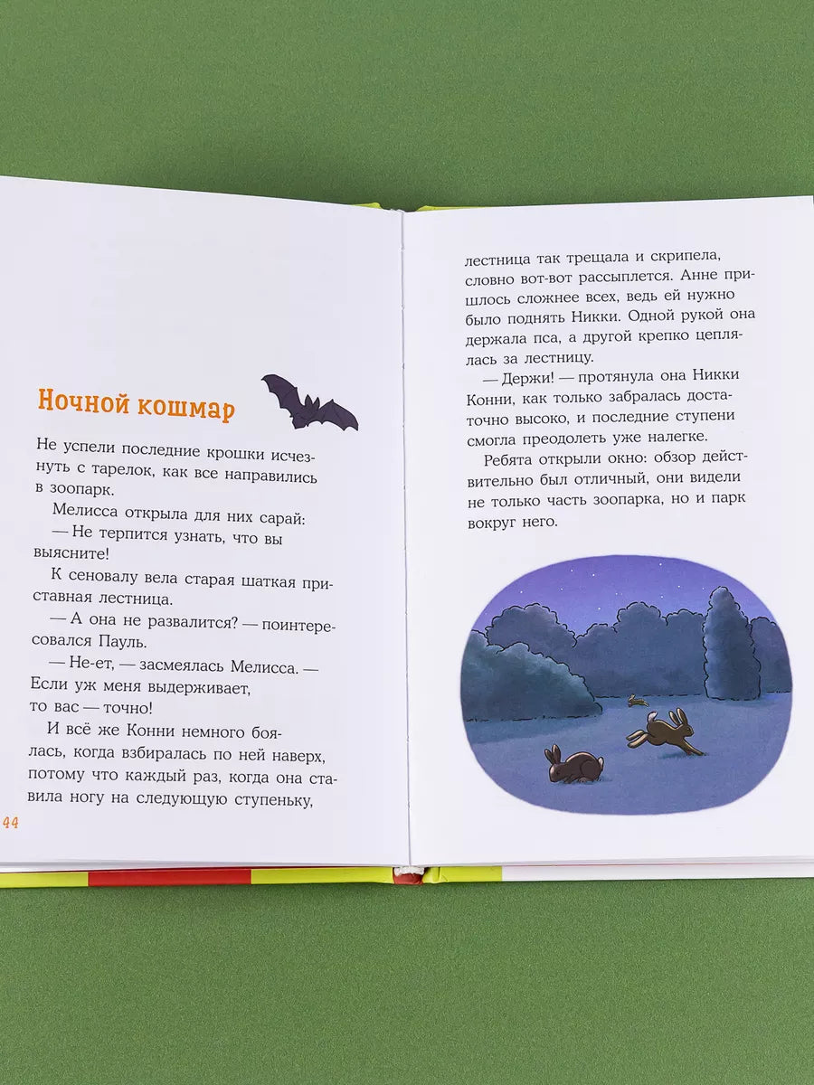 [Kids' Detectives, My Best Friend – Conny] The Missing Rabbit