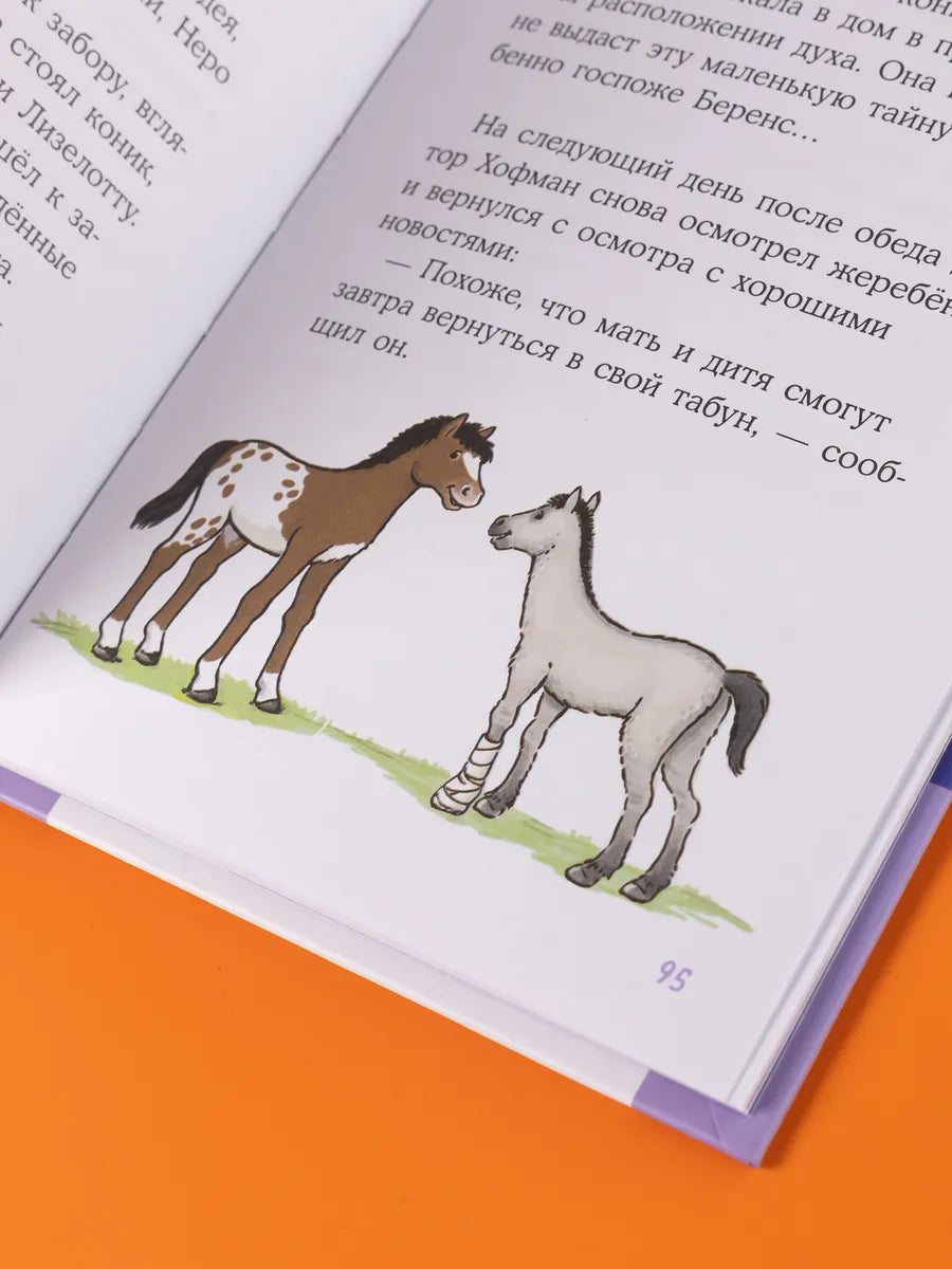 Connie and the Rescue of the Wild Horses