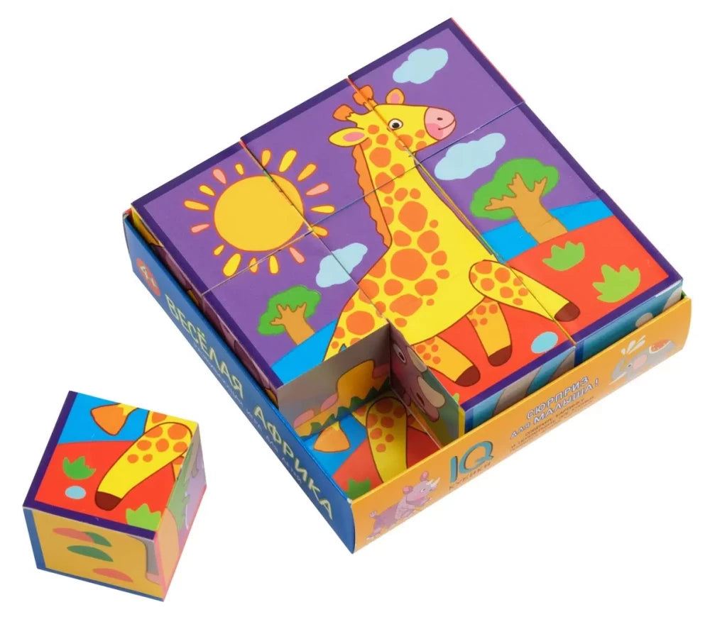 Smart cubes in a tray. 9 pieces. Fun Africa.