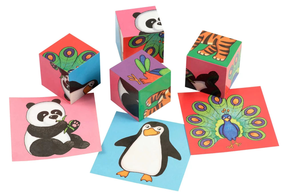 Smart cubes in a tray. 4 pieces. At the zoo.