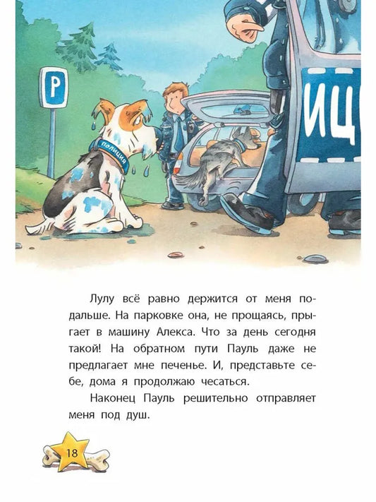 Комиссар Лапа. Загадка лесного озера