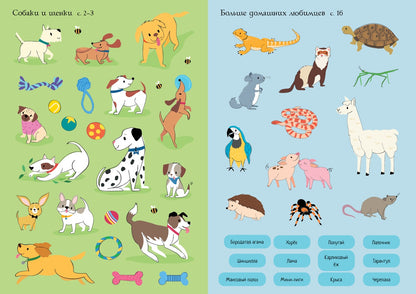 My pets