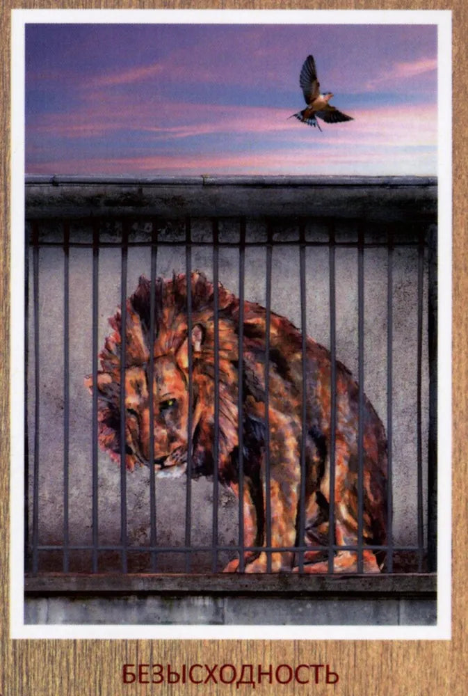 Metaphorical cards for self-development