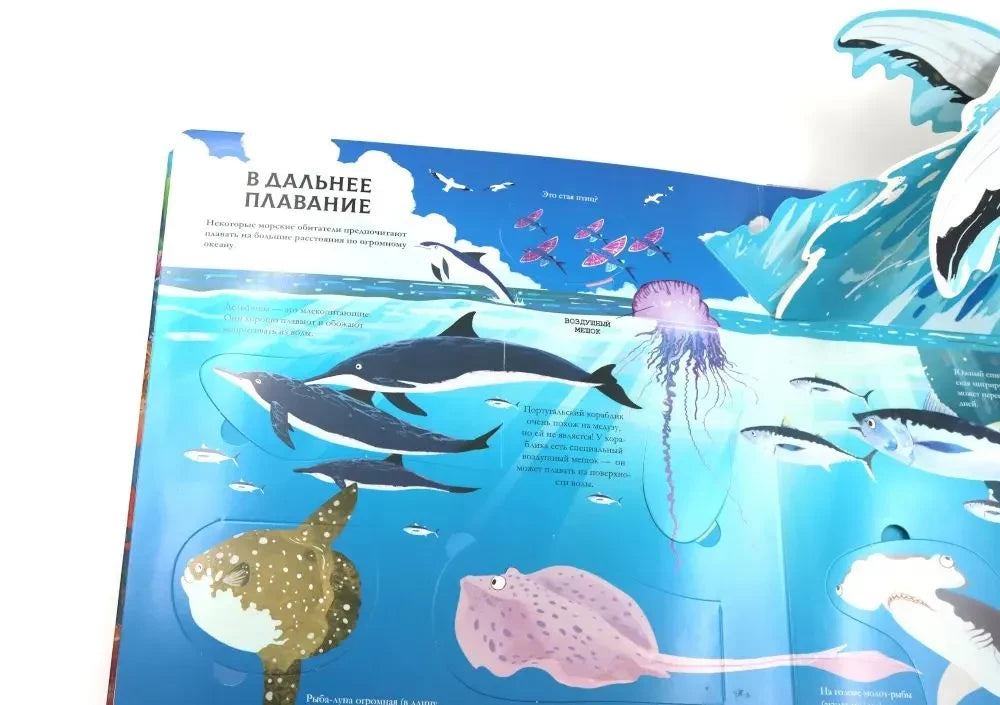 Подводный 3D