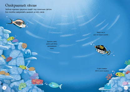 Super mini stickers: Oceanarium